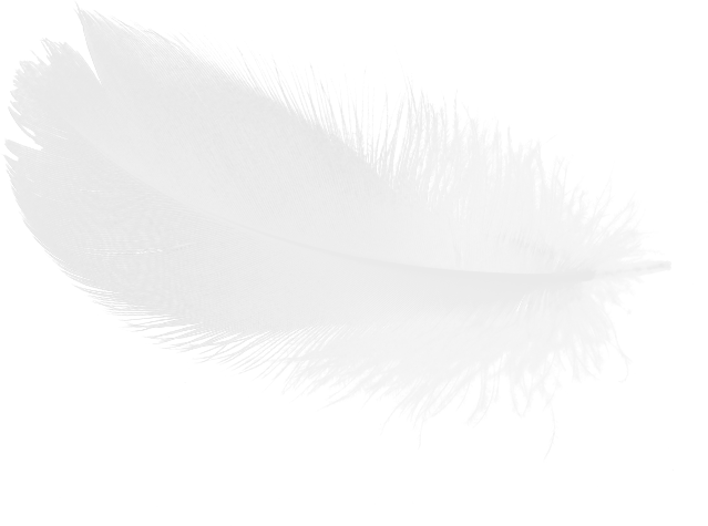 feather