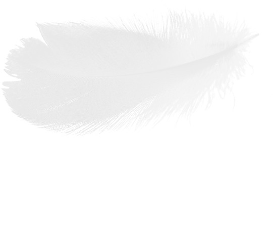 feather