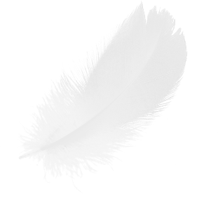 feather